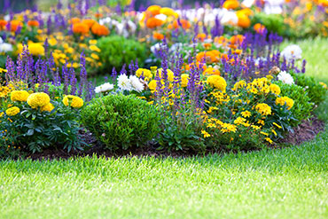 Stock Photo Multicolored Flowerbed On A Lawn Horizontal Shot Small Grip 57091351
